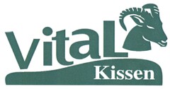 vital Kissen