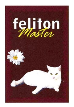 feliton Master