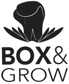 BOX & GROW