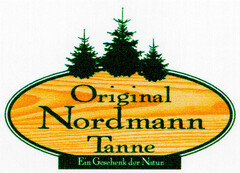 Original Nordmann Tanne