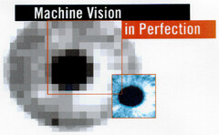 Machine Vision in Perfection