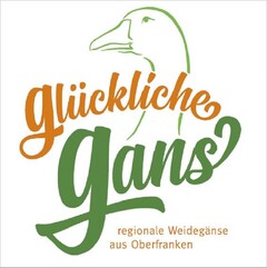 Glückliche Gans regionale Weidegänse aus Oberfranken