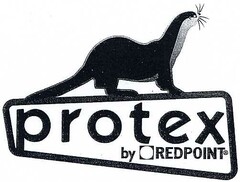 protex by REDPOINT