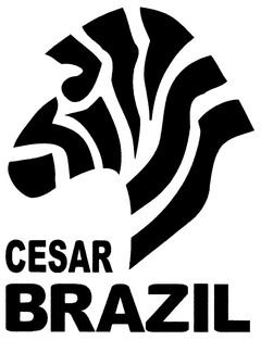 CESAR BRAZIL