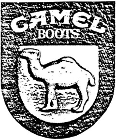 CAMEL BOOTS