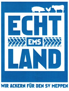 ECHT EMS LAND WIR ACKERN FÜR SV MEPPEN