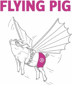 FLYING PIG