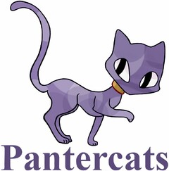 Pantercats