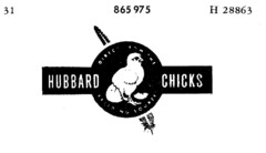 HUBBARD CHICKS