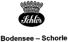 Schlör Bodensee-Schorle