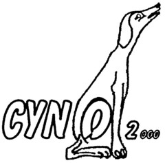 CYNO 2000