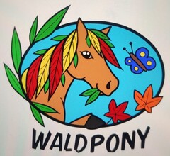 WALDPONY