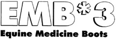 EMB*3 Equine Medicine Boots