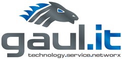 gaul.it technology.service.networx