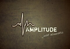 AMPLITUDE just acoustic