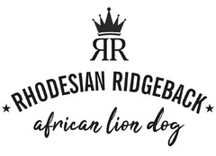 RR RHODESIAN RIDGEBACK  african lion dog