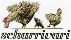 scharrivari