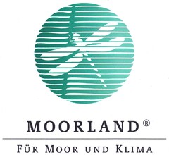 MOORLAND FÜR MOOR UND KLIMA