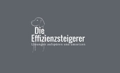 Die Effizienzsteigerer Lösungen aufspüren und umsetzen