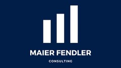 MAIER FENDLER CONSULTING