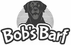 Bob's Barf