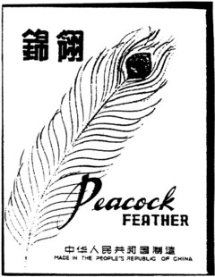 Peacock FEATHER