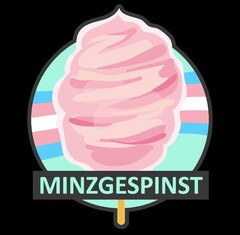 MINZGESPINST