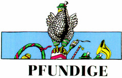 PFUNDIGE