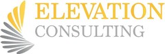 ELEVATION CONSULTING