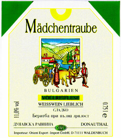 Mädchentraube