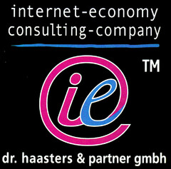 internet-economy consulting-company ie dr. haasters & partner gmbh