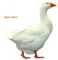 Super Gans