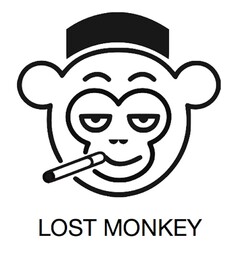 Lost Monkey