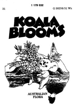 KOALA BLOOMS