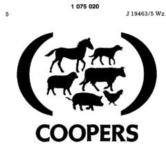 COOPERS