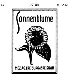 Sonnenblume