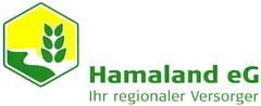 Hamaland eG Ihr regionaler Versorger