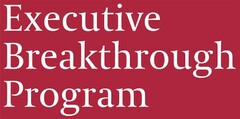 Executive Breakthrough Program