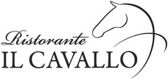 Ristorante IL CAVALLO