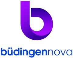 büdingennova