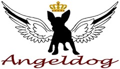 Angeldog