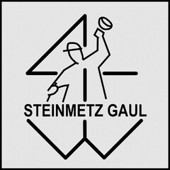 STEINMETZ GAUL