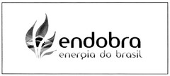 endobra energia do brasil