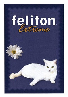 feliton Extreme