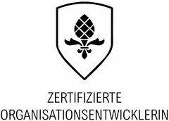 ZERTIFIZIERTE ORGANISATIONSENTWICKLERIN