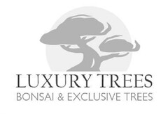 LUXURY TREES BONSAI & EXCLUSIVE TREES