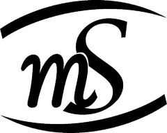 mS