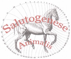 Salutogenese Animalis