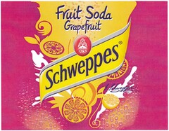 Fruit Soda Grapefruit Schweppes