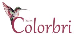 Salon Colorbri